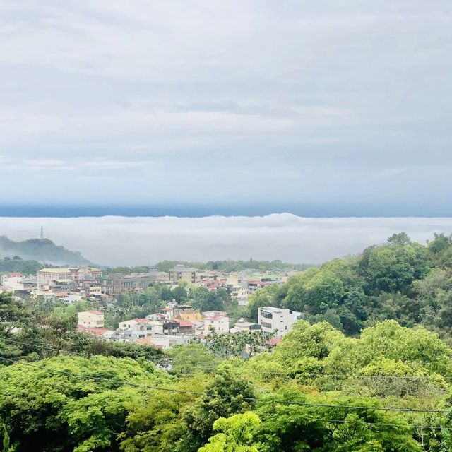 好山好水的南投鹿谷·阿東窯烤雞～30年獨家口味！流口水的美味～