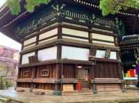 京都　SAKURA 桜めぐり❗️聖徳太子が創建した六角堂の桜に感動❗️