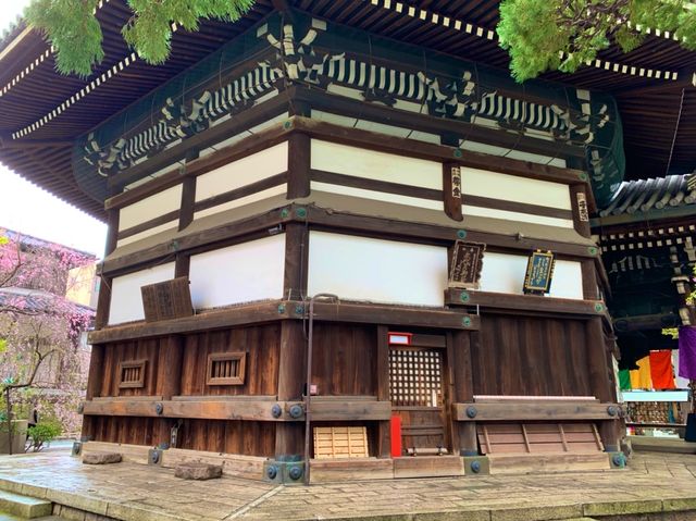 京都　SAKURA 桜めぐり❗️聖徳太子が創建した六角堂の桜に感動❗️