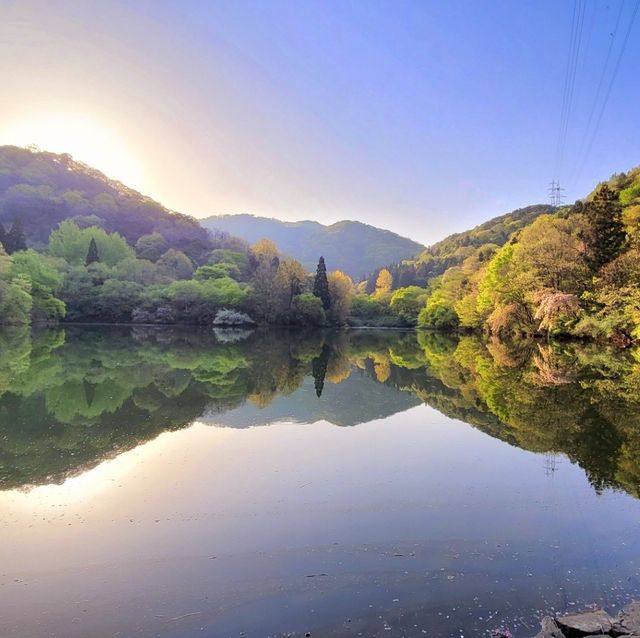 화순 세량제