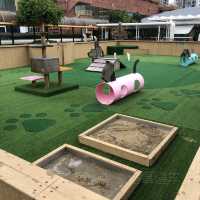 商場頂樓嘅寵物公園