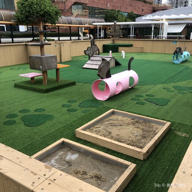 商場頂樓嘅寵物公園
