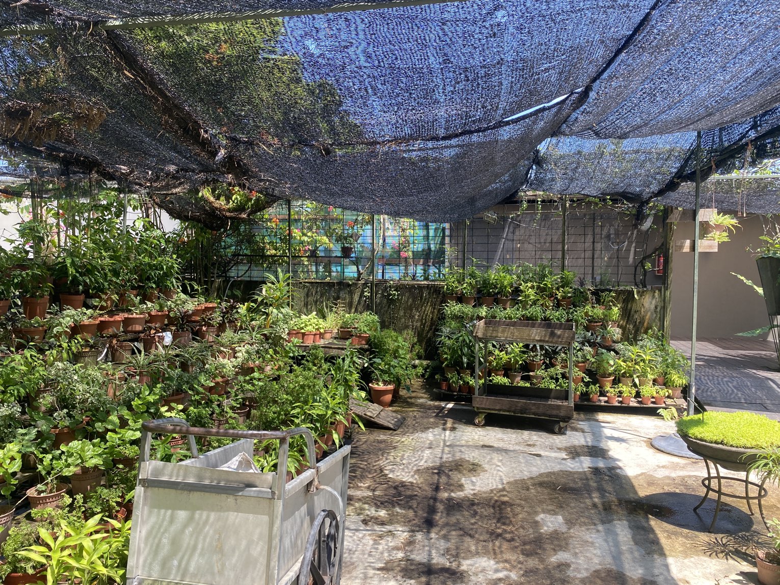 Siloso Beach Resort Roof Garden Trip Com Singapore Travelogues