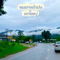 สดชื่นเขียวชอุ่มกับหน้าฝนที่เขาใหญ่