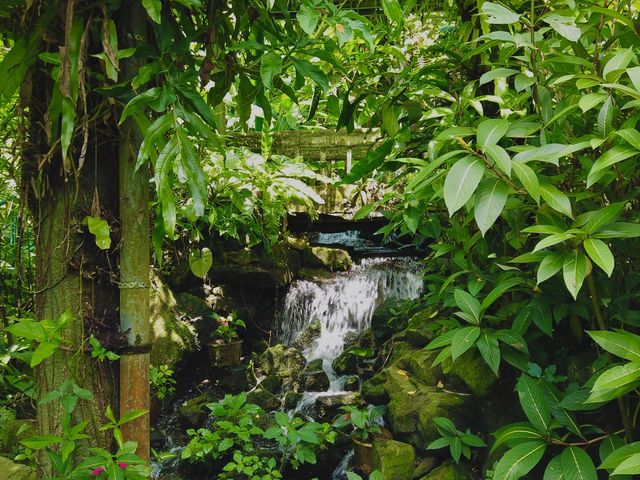 A Wonderland at Kuala Lumpur Butterfly Park 