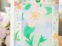 Proskin冬日泡泡花園登陸旺角