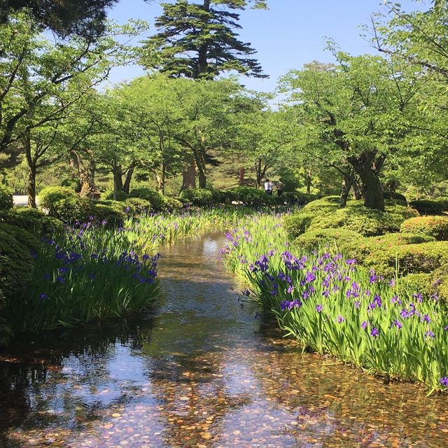 日本三大名園，兼六園