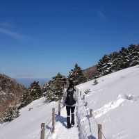 잊을만하면 꼭 생각나는 겨울 설산 '한라산 등반'