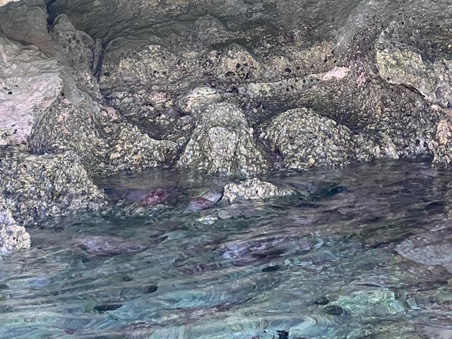 Rottnest Island! Parakeet Bay! 📸😎