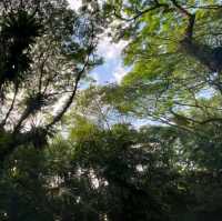 Singapore’s first ASEAN Heritage Park