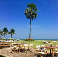 Eureka Beach Cafe

