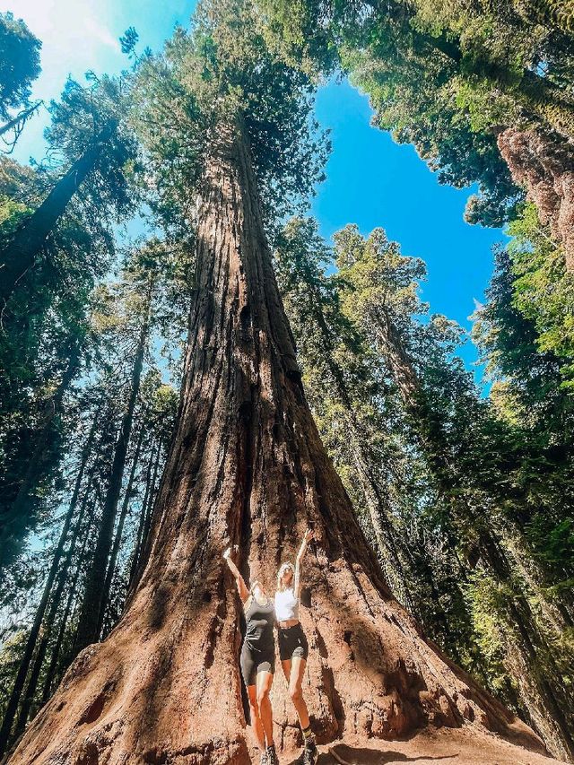 Sequoia National Park