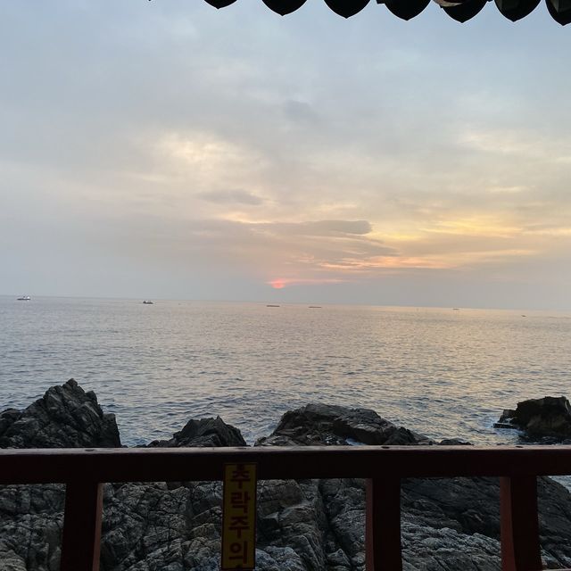 삼척 바다 🌊