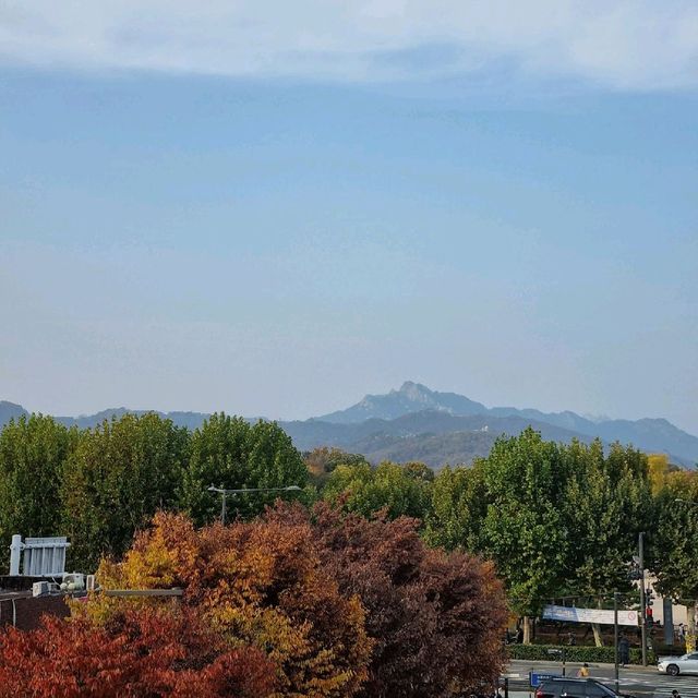 서울여행, 발길을 멈춰 세운 : 세운상가