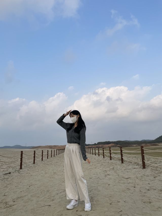태안 인생샷 명소 :: 태안 신두리 해안사구🌵