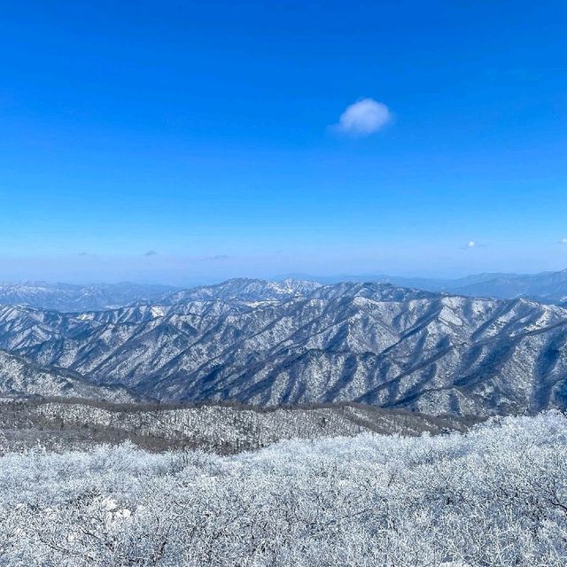 믿을 수 없는 눈꽃여행, 덕유산 향적봉에서