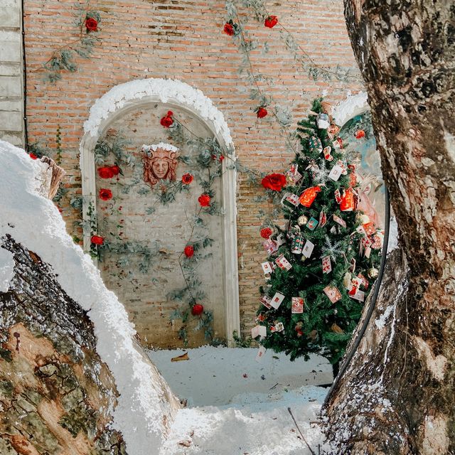 🏠 Shing a ring a ring 🎄