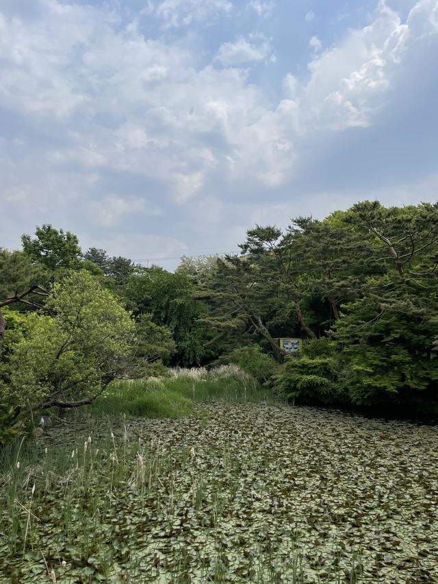 동화 속 풍경을 만날 수 있는 서울대공원 숨은 포토존
