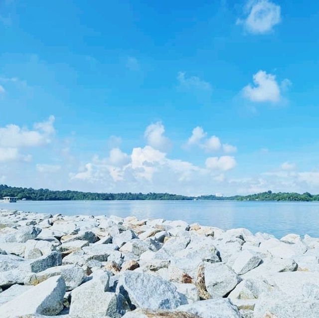 The Lone Tree @ Upper Seletar Reservoir Park 