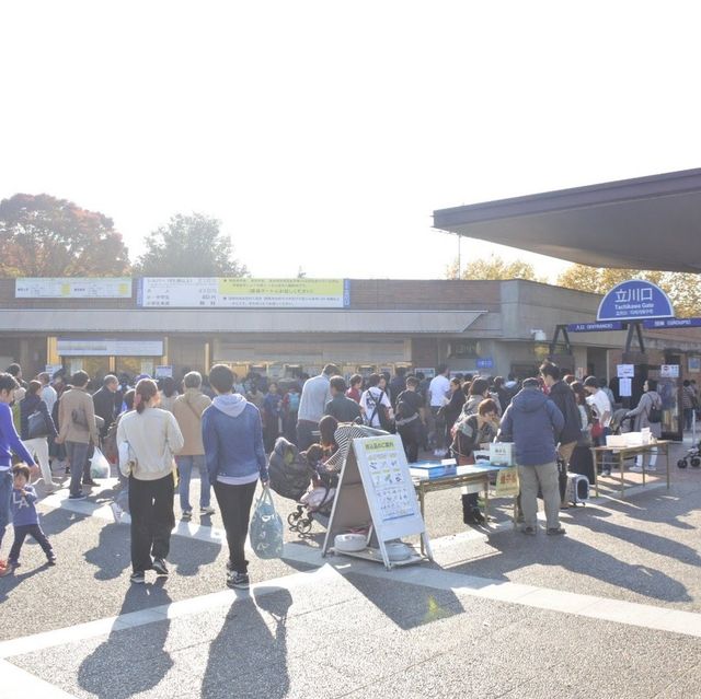国営昭和記念公園⛲️
