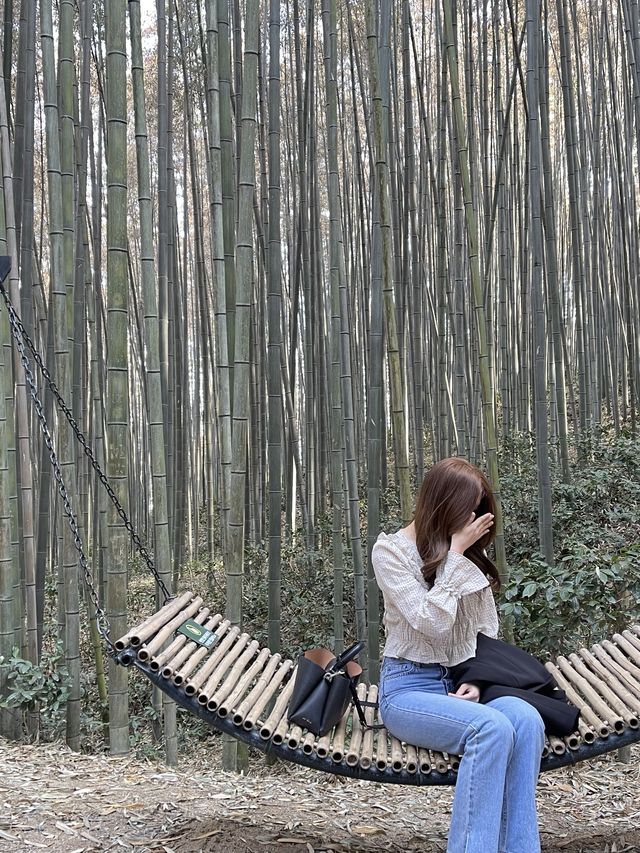 시원하고 청량한 공기 마시러~  담양 “죽녹원”🎋