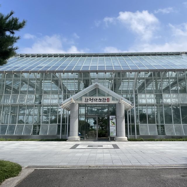 가족들과 다시 오고 싶은 자연 속 <산청한방테마파크 🐯>