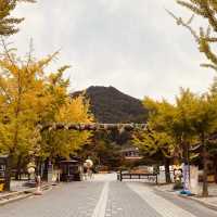 [용문] 가을 산행 단풍 구경🍁'용문산관광단지'