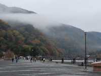 【京都】カラフルな紅葉！秋の嵐山をご紹介