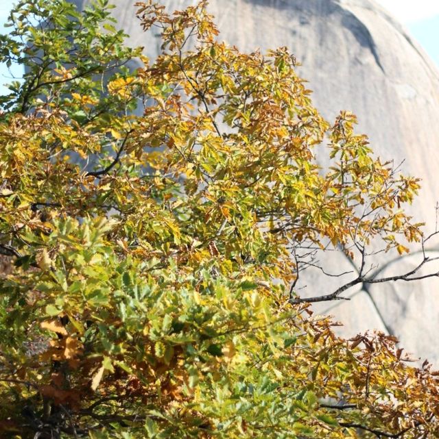 Bukhansan Hike