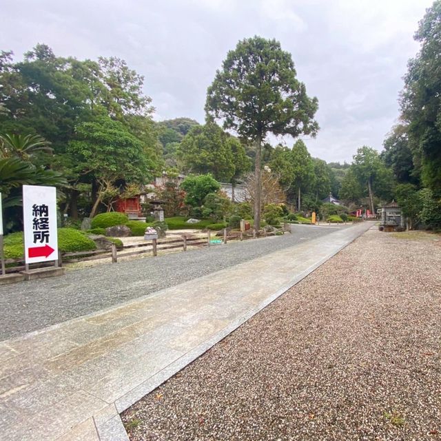 日本極樂寺與長命杉