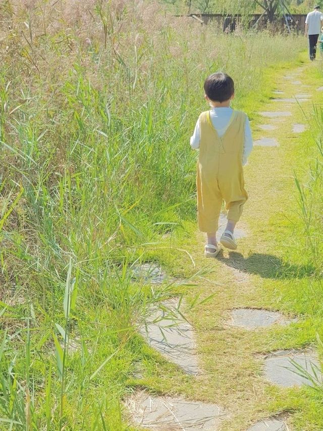김포 야생조류생태공원에서의 피크닉