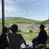 데이지와 함께하는 커피 피크닉🌼