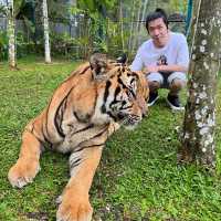 布吉島🐯樂園