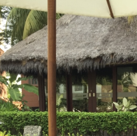 Vacay at Holiday Inn Resort 