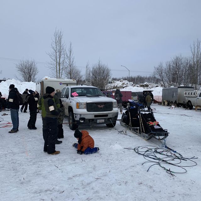 Witness the Iditarod dog sled race in Nome