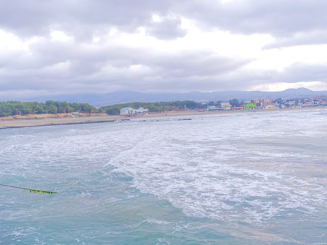 겨울바다가 그립다면 제주 이호테우 해수욕장