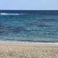 【奄美大島　土盛海岸】ブルーエンジェル🌊✨