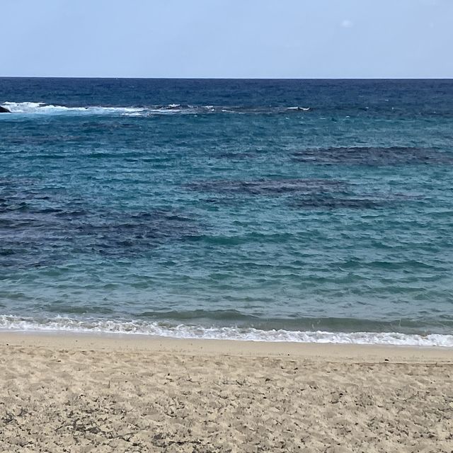 【奄美大島　土盛海岸】ブルーエンジェル🌊✨