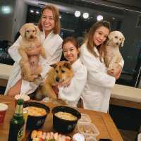 與毛孩兒入住新落成的 雅格酒店The Arca