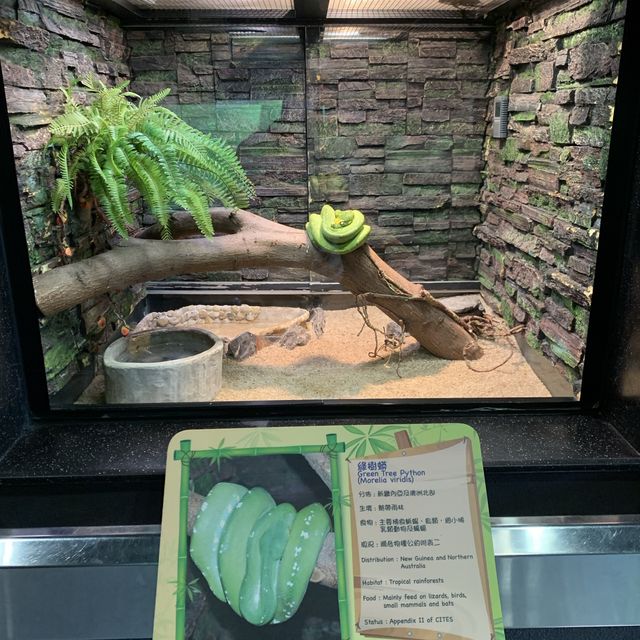 屯門公園隱秘高質爬蟲館 屯門公園隱秘高質爬蟲館