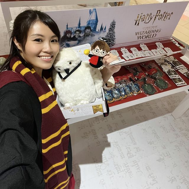 🎄Harry Potter的聖誕魔法世界✨
