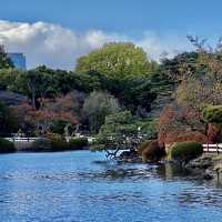 紅葉の新宿御苑・中の池