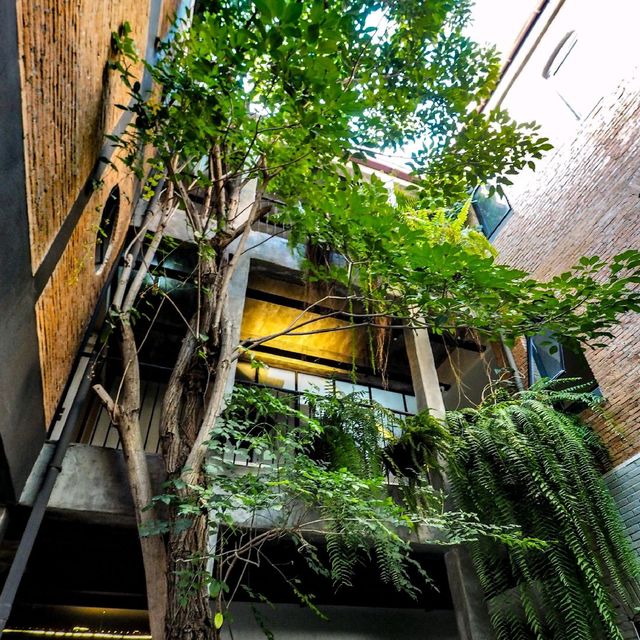 hotel nori ที่พักสวยใจกลางเชียงใหม่ 