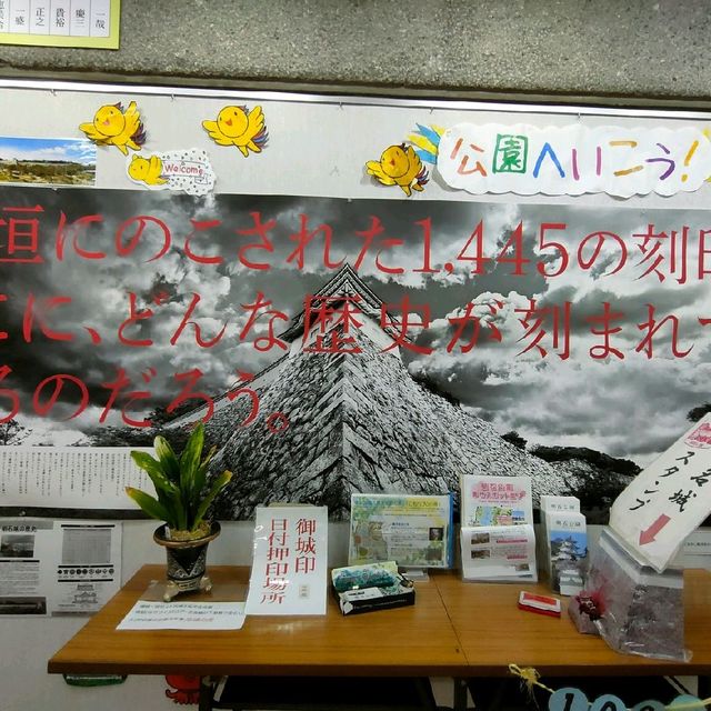 【兵庫県 魚棚商店街】たこ焼きじゃないよ🐙明石焼きだよ🥚
