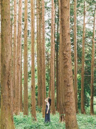 [Chiba] Bakery in the Mysterious Forest