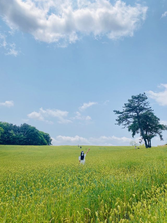 초록초록 윈도우 배경화면이 생각나는 카페🌾💚