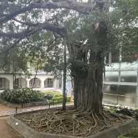 九龍公園裏的文物探知館