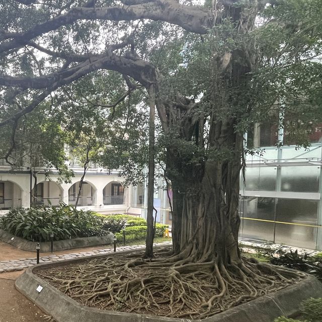 九龍公園裏的文物探知館