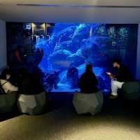 ウツボの隠れエリア　すみだ水族館