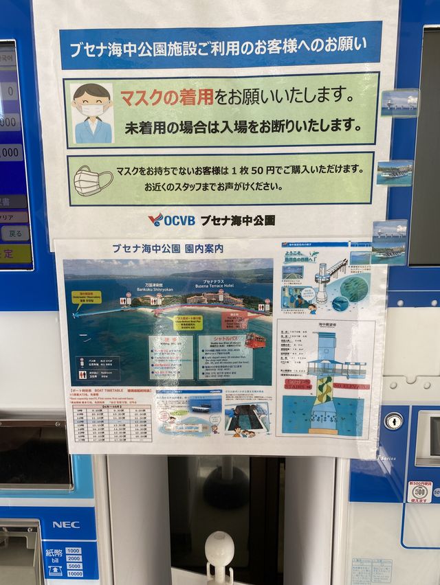 沖縄🌴ブセナ海中公園はやばい！映えオーシャンビュー🌊ビーチもあります！
